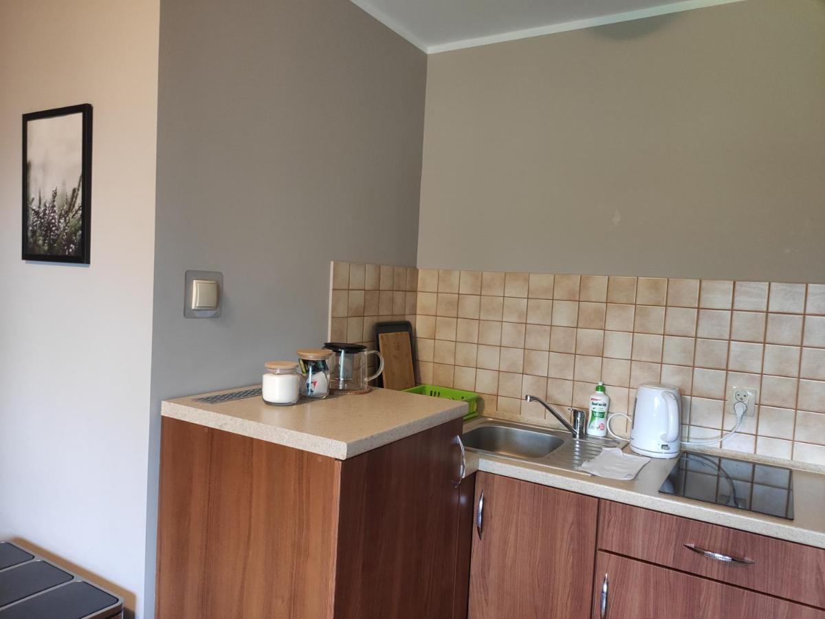 ויסלאו Apartamenty Madzia מראה חיצוני תמונה